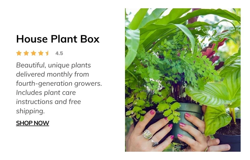 House Plant Box