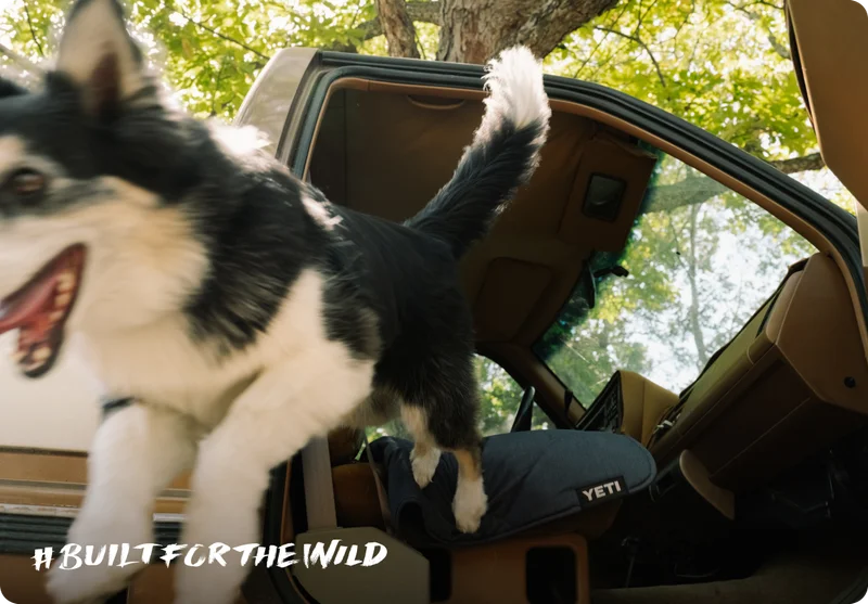 Built For The Wild