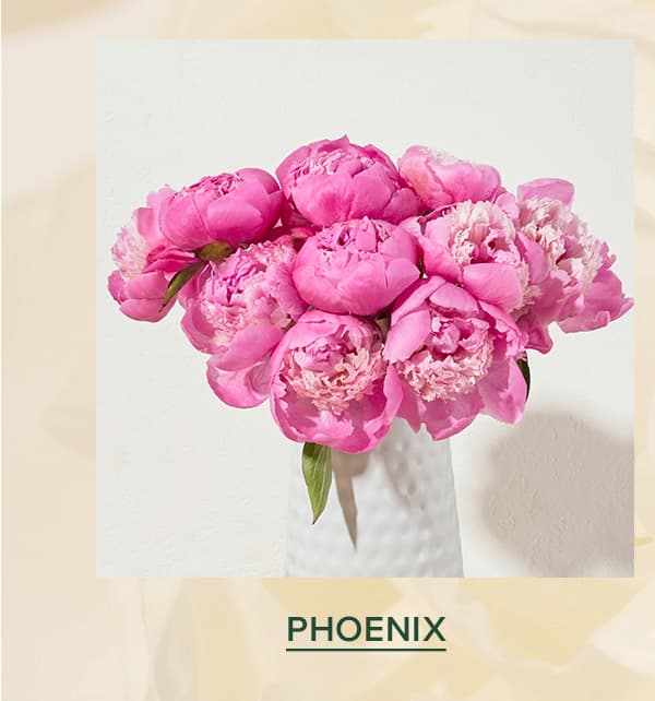 PHOENIX