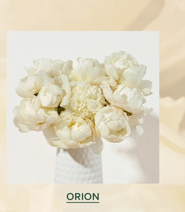 ORION