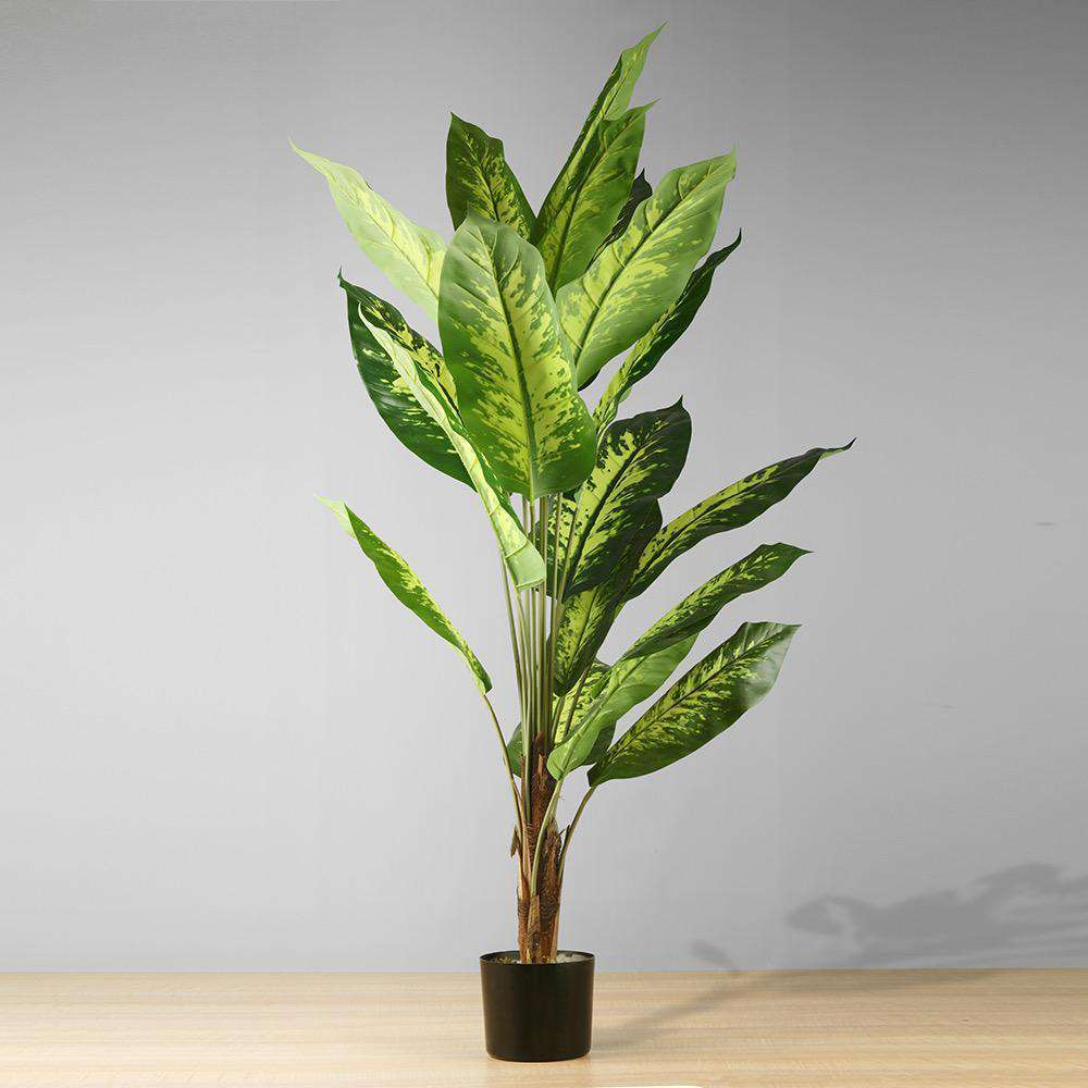 Image of Dira Artificial Evergreen Potted Plant (Multiple Sizes)