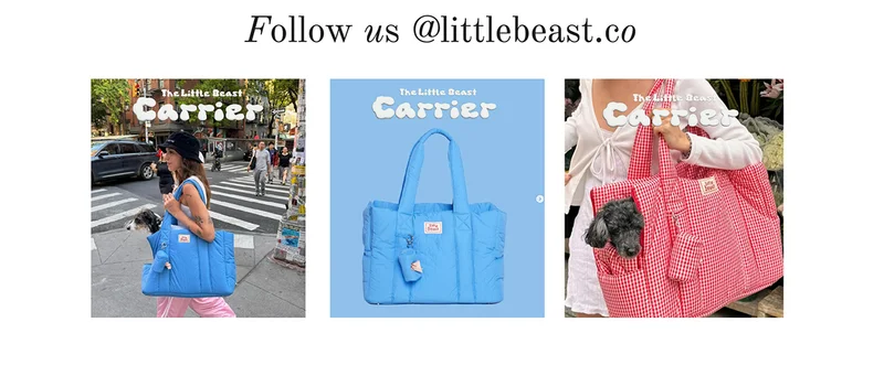 Follow us on Instagram