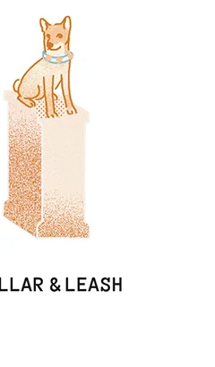 Collar & Leash