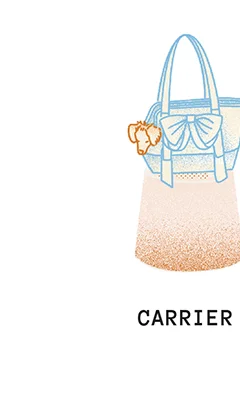 Carrier