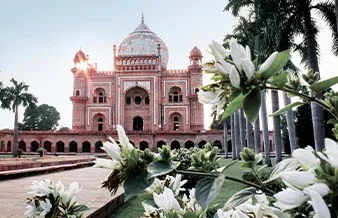 Delhi