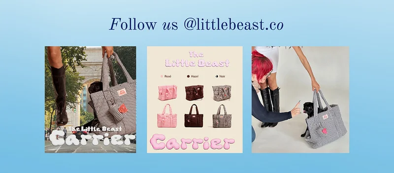 Follow us on Instagram