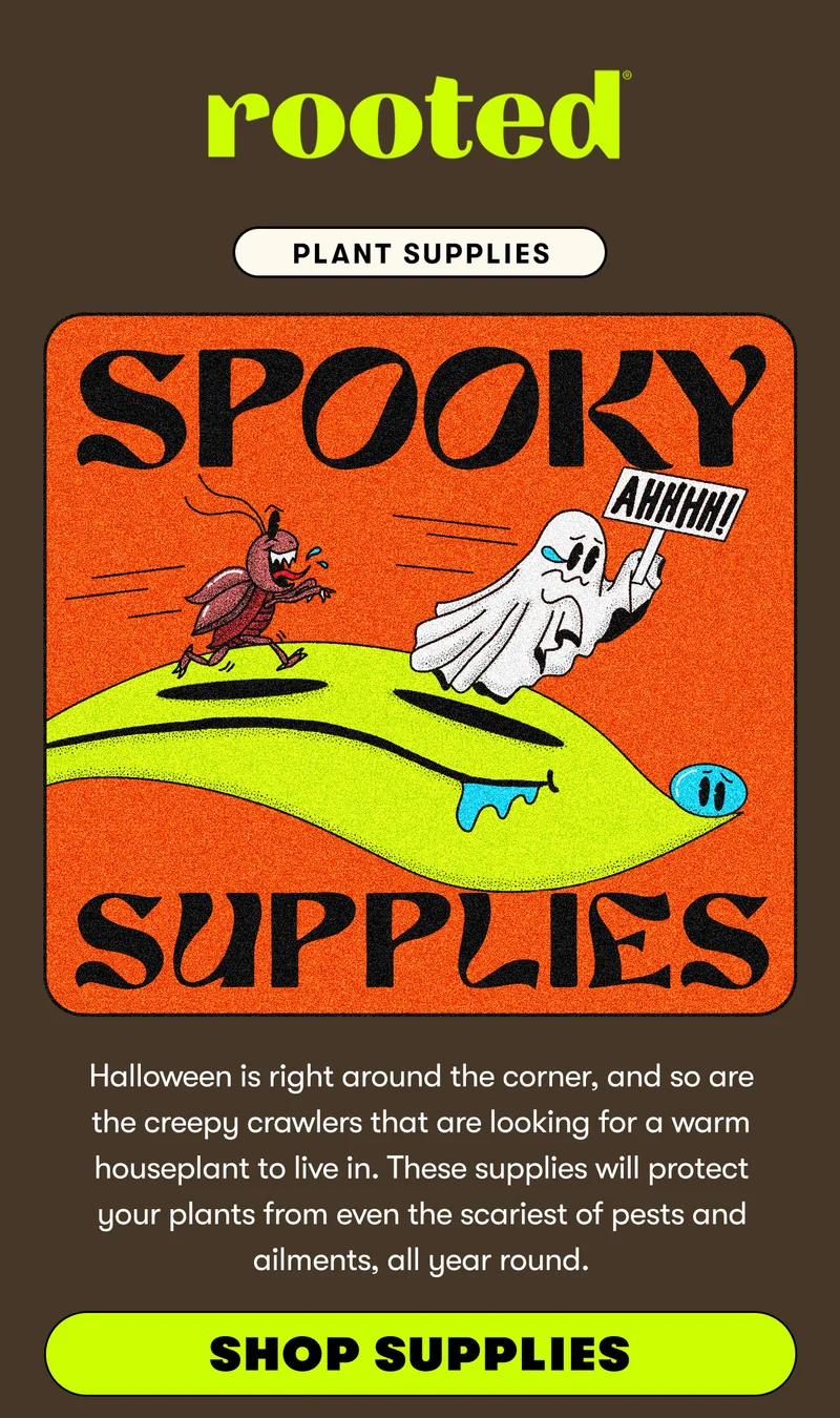 Spooky Supplies. Halloween is right around the corner, and so are the creepy crawlers that are looking for a warm houseplant to live in. These supplies will protect your plants from even the scariest of pests and ailments, all year round