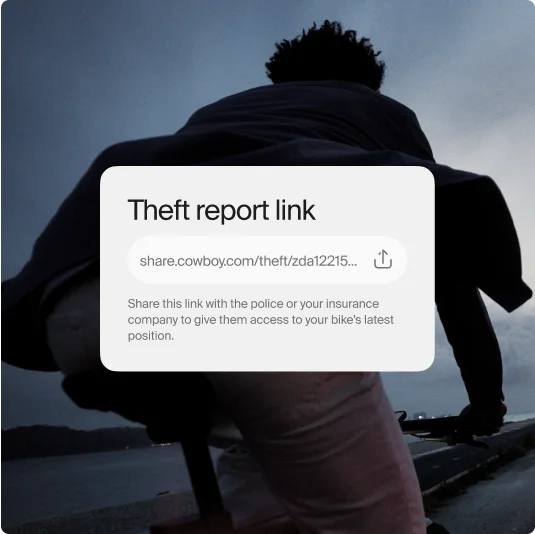 A graphic. A respresntation of the UI component enabling the user to create theft report from their device.