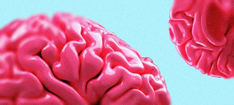 Don’t lose your mind