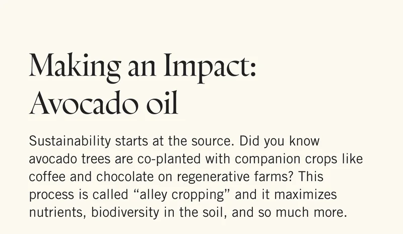 Making an Impact: Avocado oil   Sustainability starts at the source. Did you know avocado trees are co-planted with companion crops like coffee and chocolate on regenerative farms? This process is called “alley cropping” and it maximizes nutrients, biodiversity in the soil, and so much more.