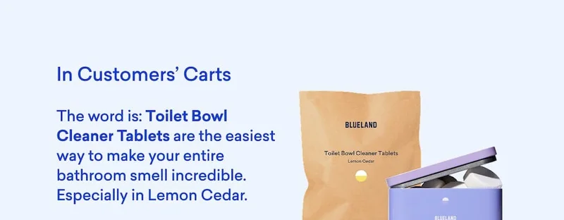 Shop Toilet Bowl Cleaner Tablets