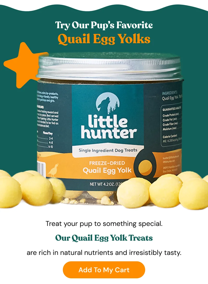 Try Our pup's Favorite