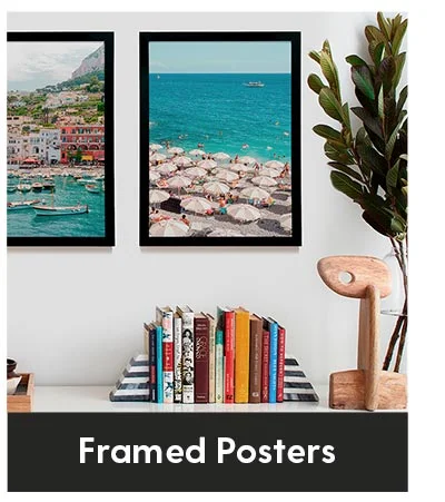 Shop Framed Posters