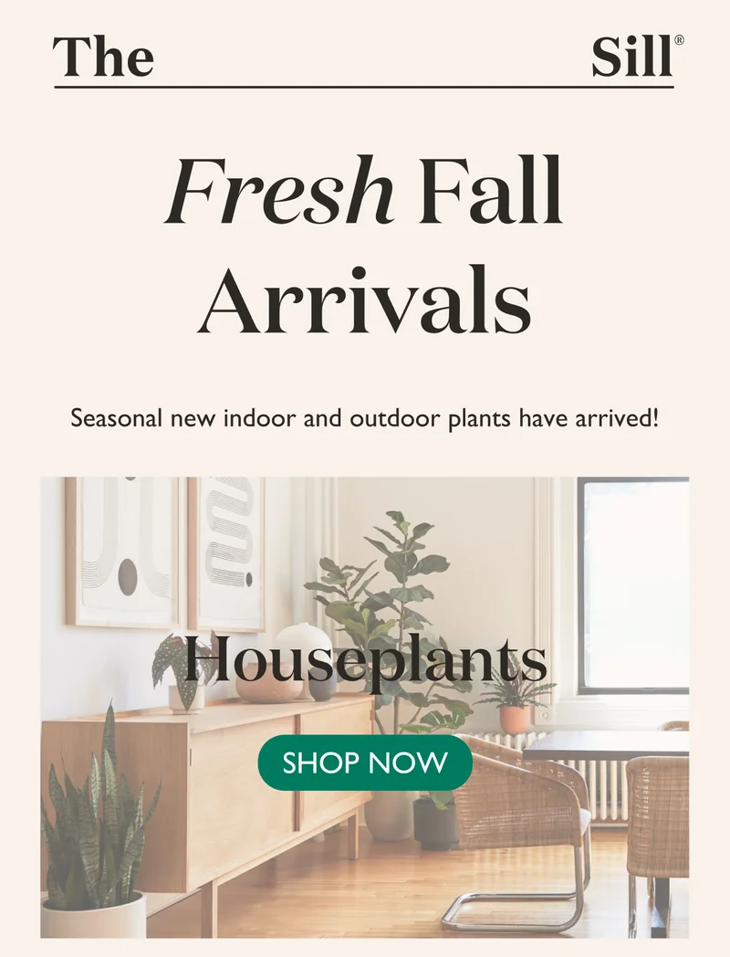 Fresh Fall Arrivals Are Here! Shop New Houseplants