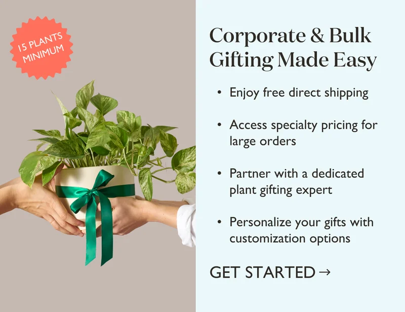 Learn About Our Easy Corporate Gifting Program