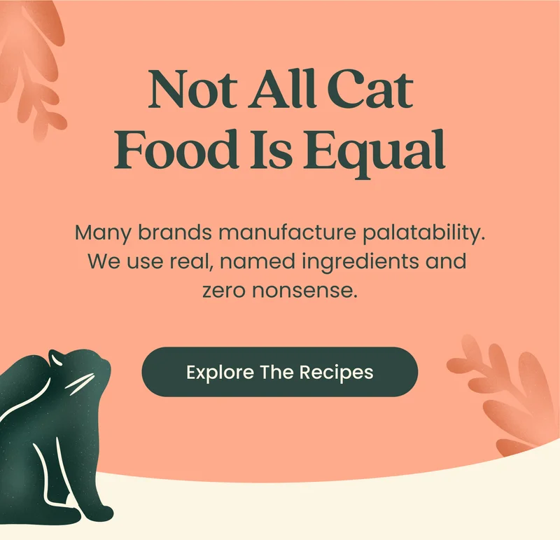 Not All Cat Food Is Equal