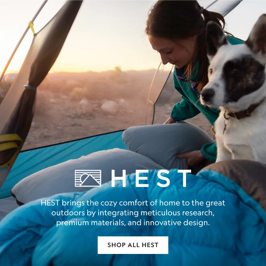 Hest