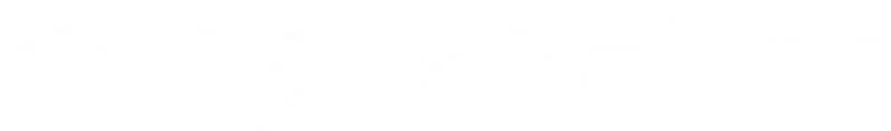 NBC Sports Bet Logo
