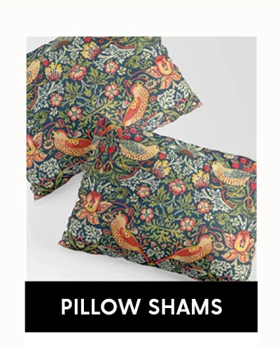 Shop Pillow Shams