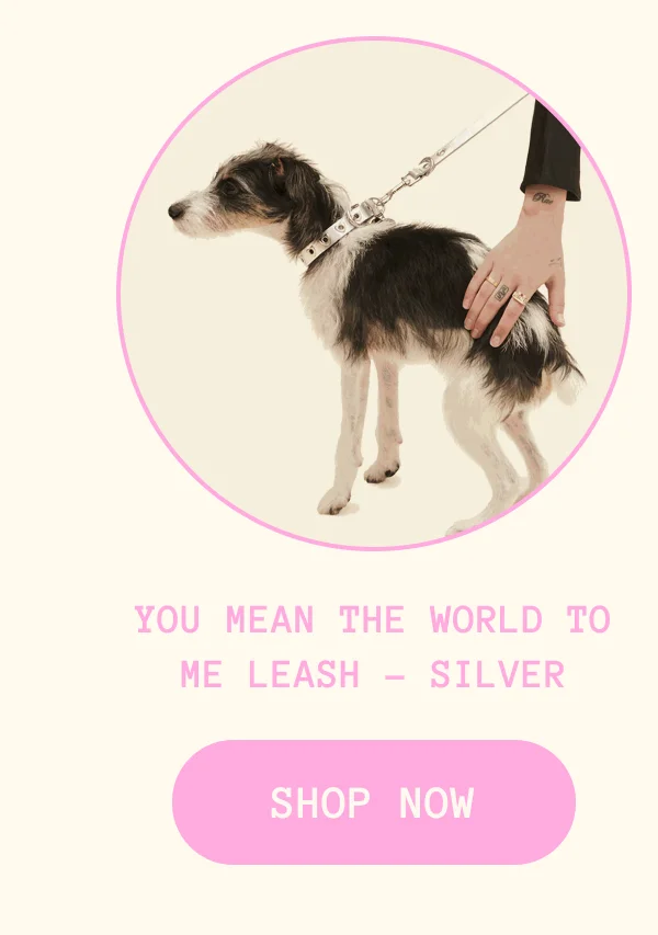 You Mean The World To Me Leash - Silver