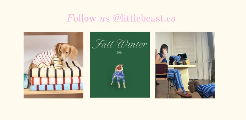 Follow us on Instagram