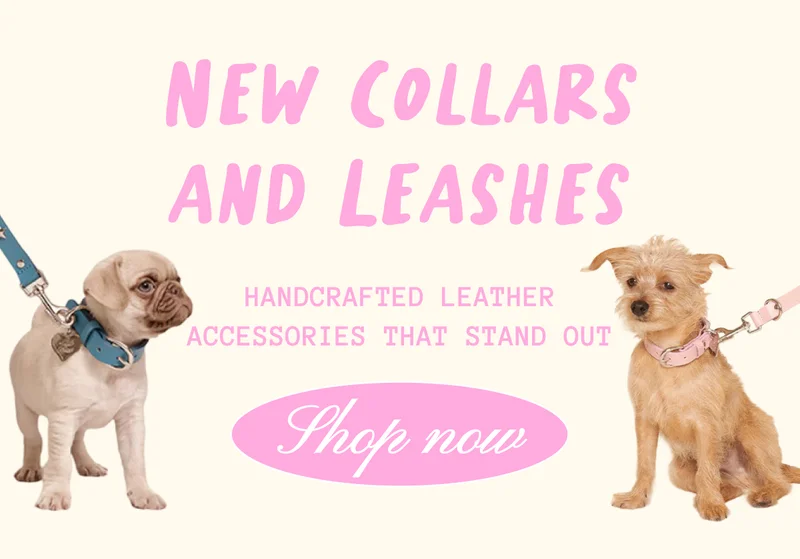 New Collars and Leashes