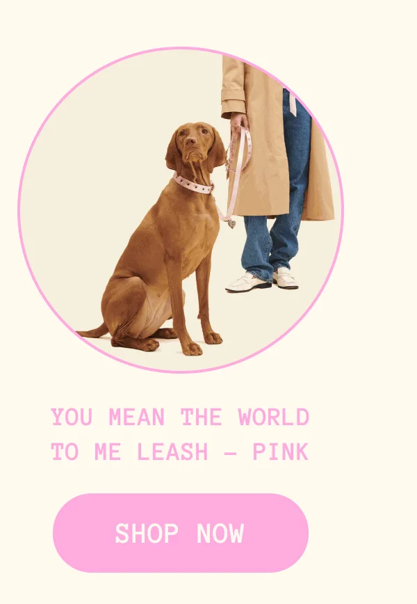You Mean The World To Me Leash - Pink
