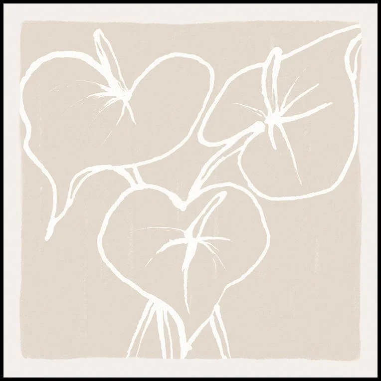 Anthurium Lines Poster