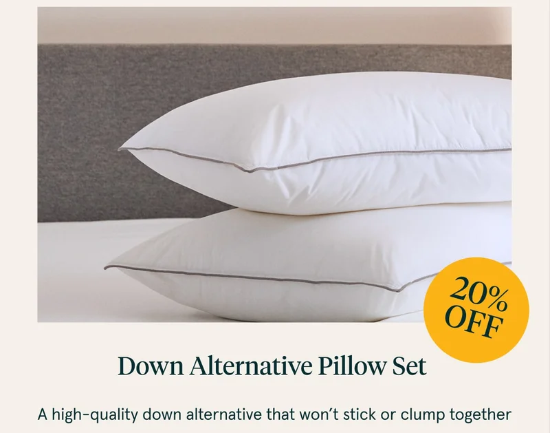 Down Alternative Pillow Set