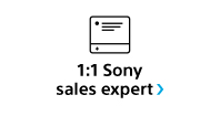 1:1 Sony sales expert