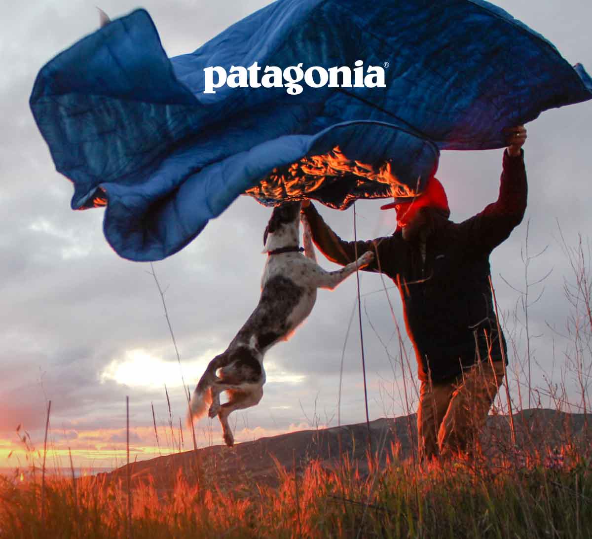 Patagonia. A person spreading a Macro Puff Quilt outside while a dog jumps in the air.