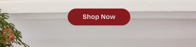 Shop Now - Button