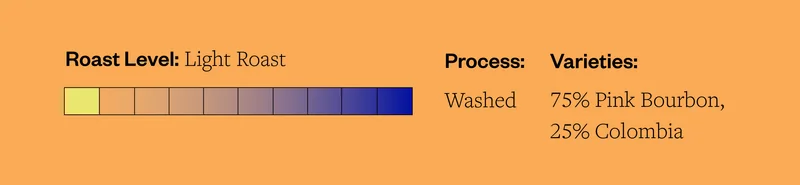 Roast Level: Light Roast Process: Washed Varietes: Pink Bourbon Colombia Roast Level: Light Roast Process: Washed Varietes: Pink Bourbon Colombia
