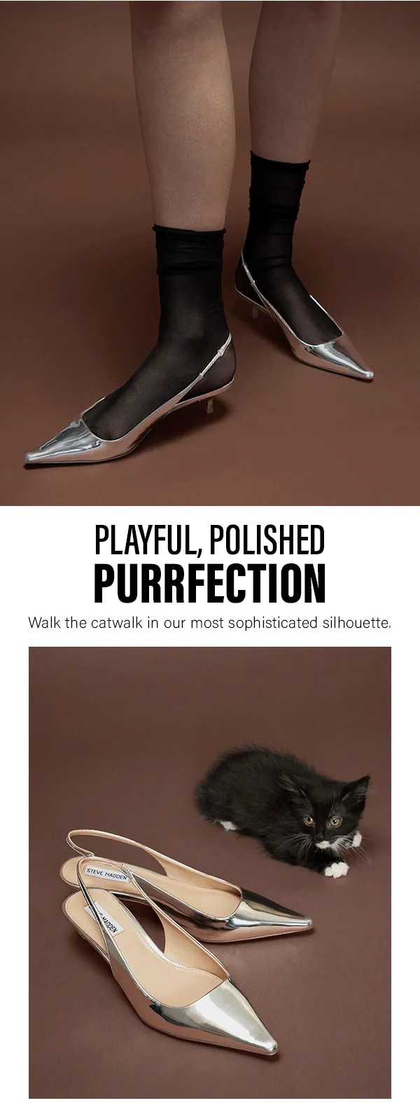 Playful, Polished Purrfection