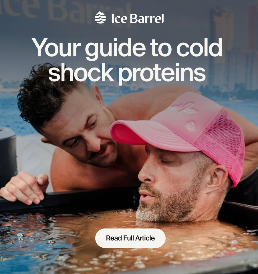 Your guide to cold shock proteins