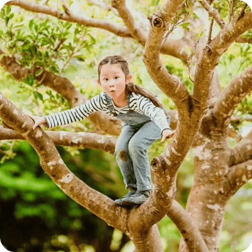 a kid climbing in a tree taking risks a kid climbing in a tree taking risks