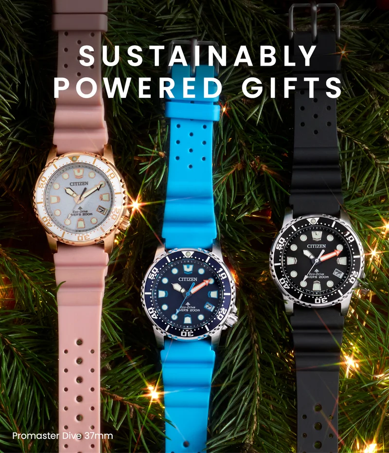 Sustainably Powered Gifts