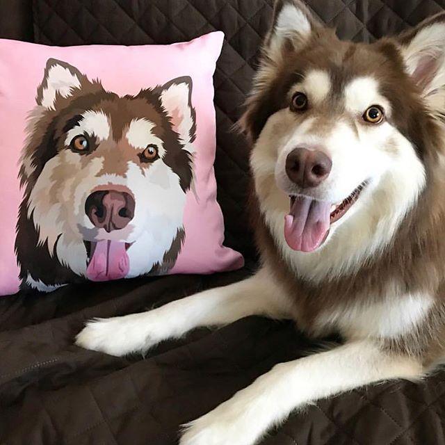 Image of Custom Pet Couch Pillow