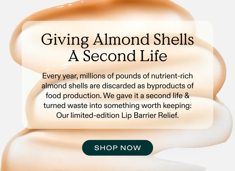 Giving Almond Shells A Second Life