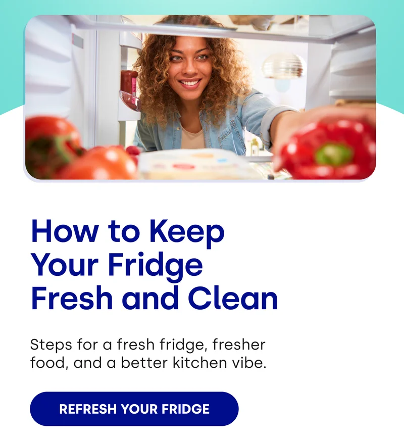 How to Keep Your Fridge Fresh and Clean | Steps for a fresh fridge, fresher food, and a better kitchen vibe | Refresh your fridge