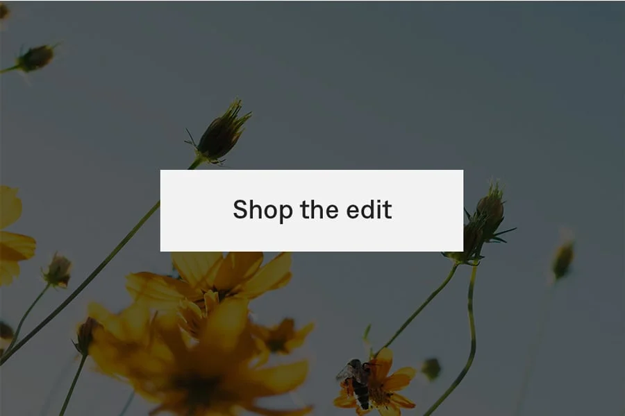 Shop the edit