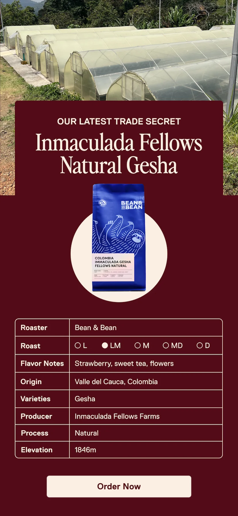 Limited Release: Colombia Inmaculada Gesha Natural