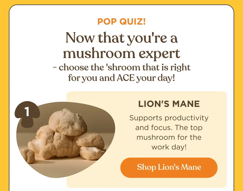Pop Quiz! Now that you're a mushroom expert - choose the 'shroom that is right for you and ACE your day! | Lion's Mane - Supports productivity and focus. The top mushroom for the work day! | Shop Lion's Mane
