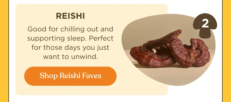 Reishi - Good for chiling out and supporting sleep. Perfect for those days you just want to unwind. | Shop Reishi Faves