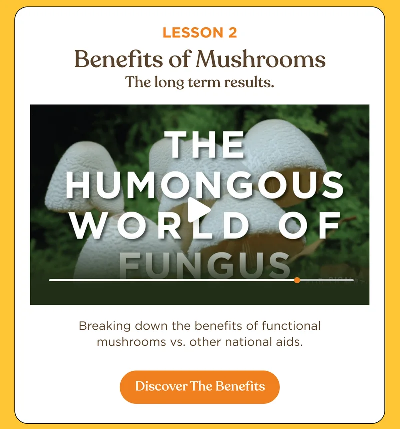 Lesson 2 | Benefits of Mushrooms The long term results. Breaking down the benefits of functional mushrooms vs. other national aids. | Discover The Benefits