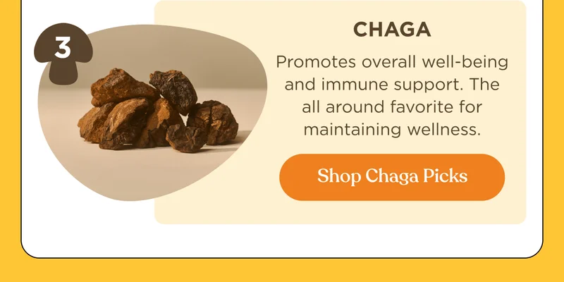 Chaga | Promotes overall well-being and immune support. The all around favorite for maintaining wellness. | Shop Chaga Picks