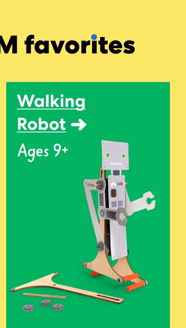 Walking Robot