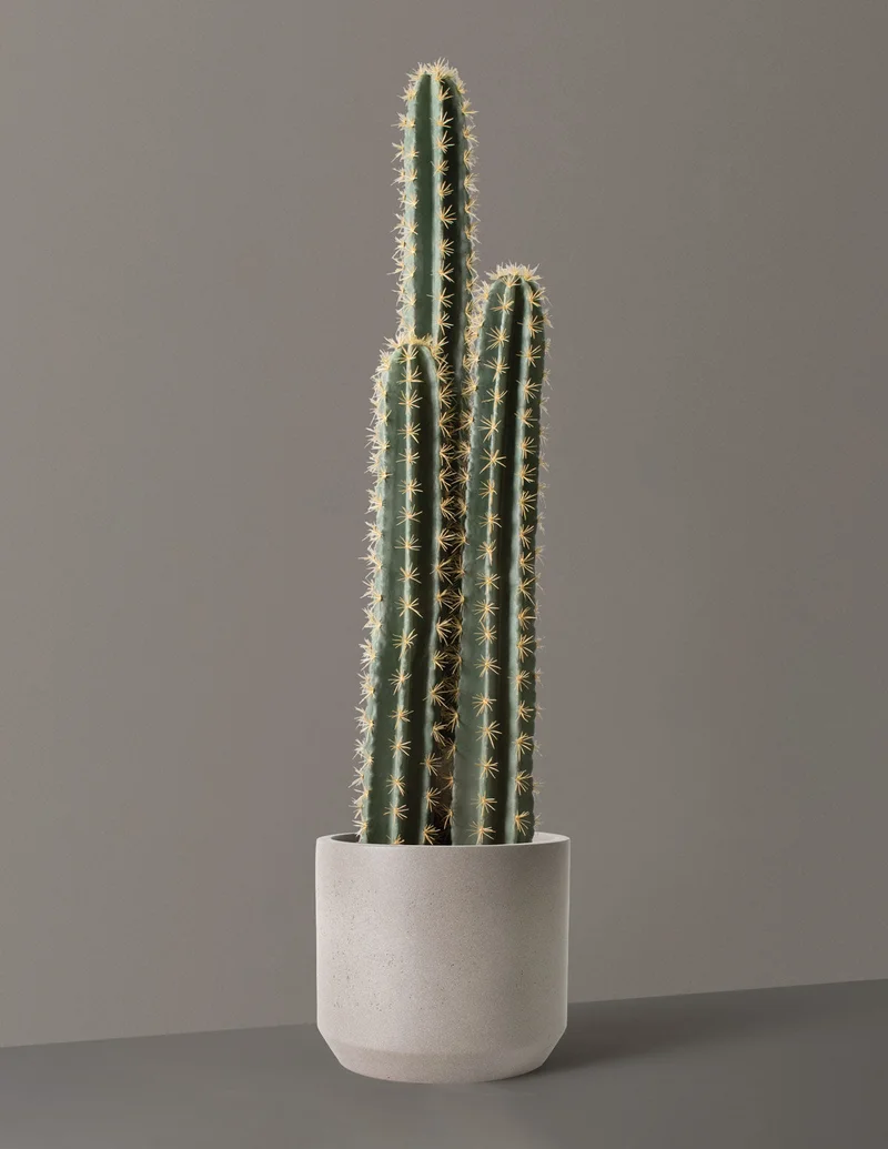 Image of Faux Floor Cactus