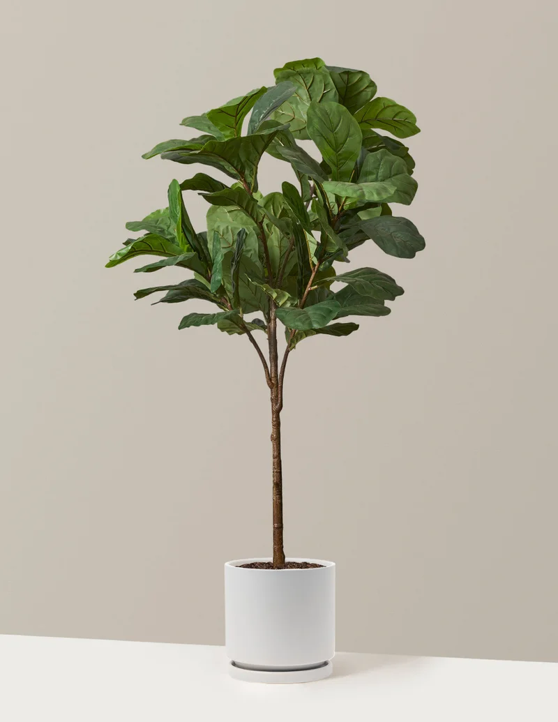 Image of Faux Fiddle Leaf Fig Tree