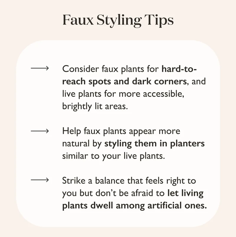 Shop Faux & Preserved Plants